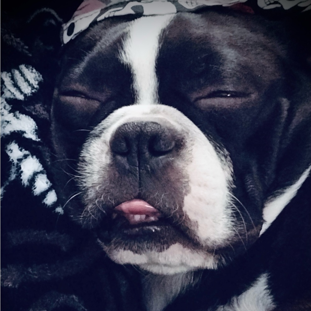 Meet your Posher, AJ